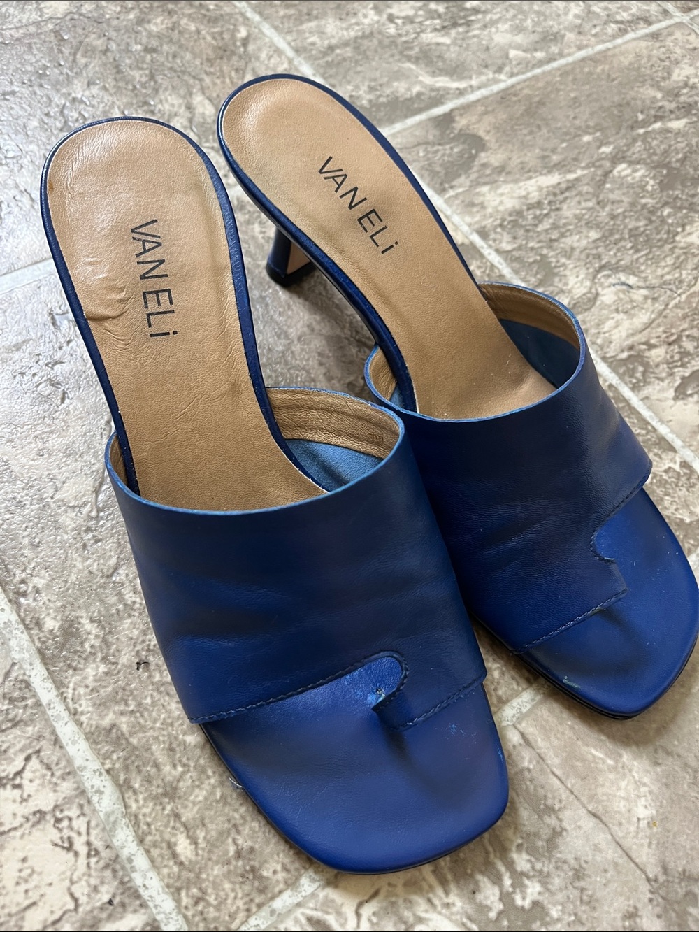 Van Eli Navy Blue Leather Slide Heeled Mules